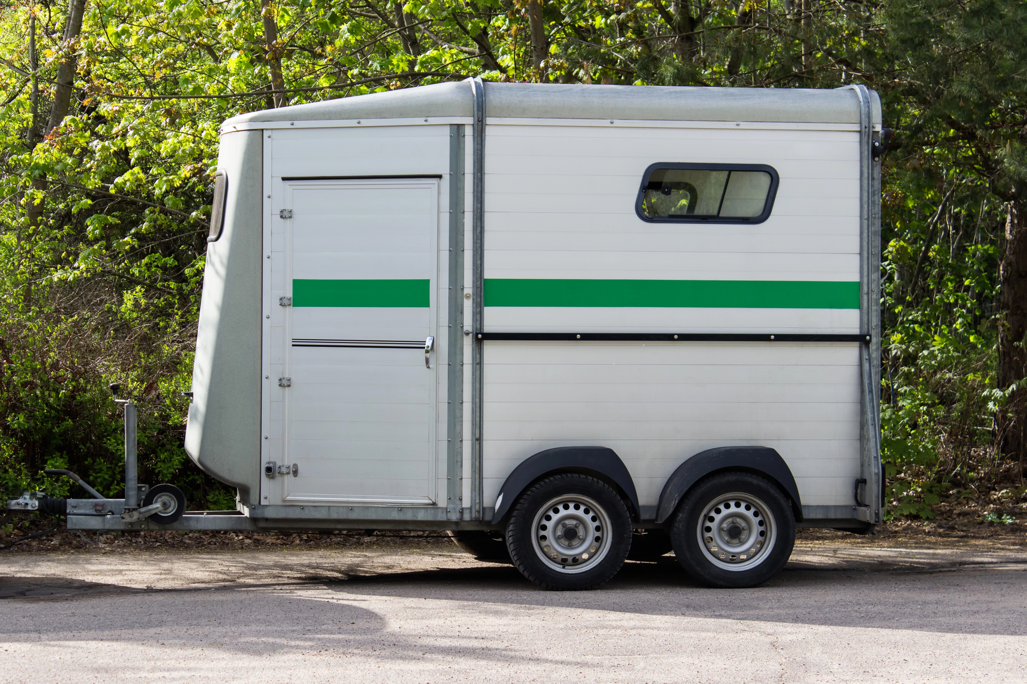 Horse transportation van 