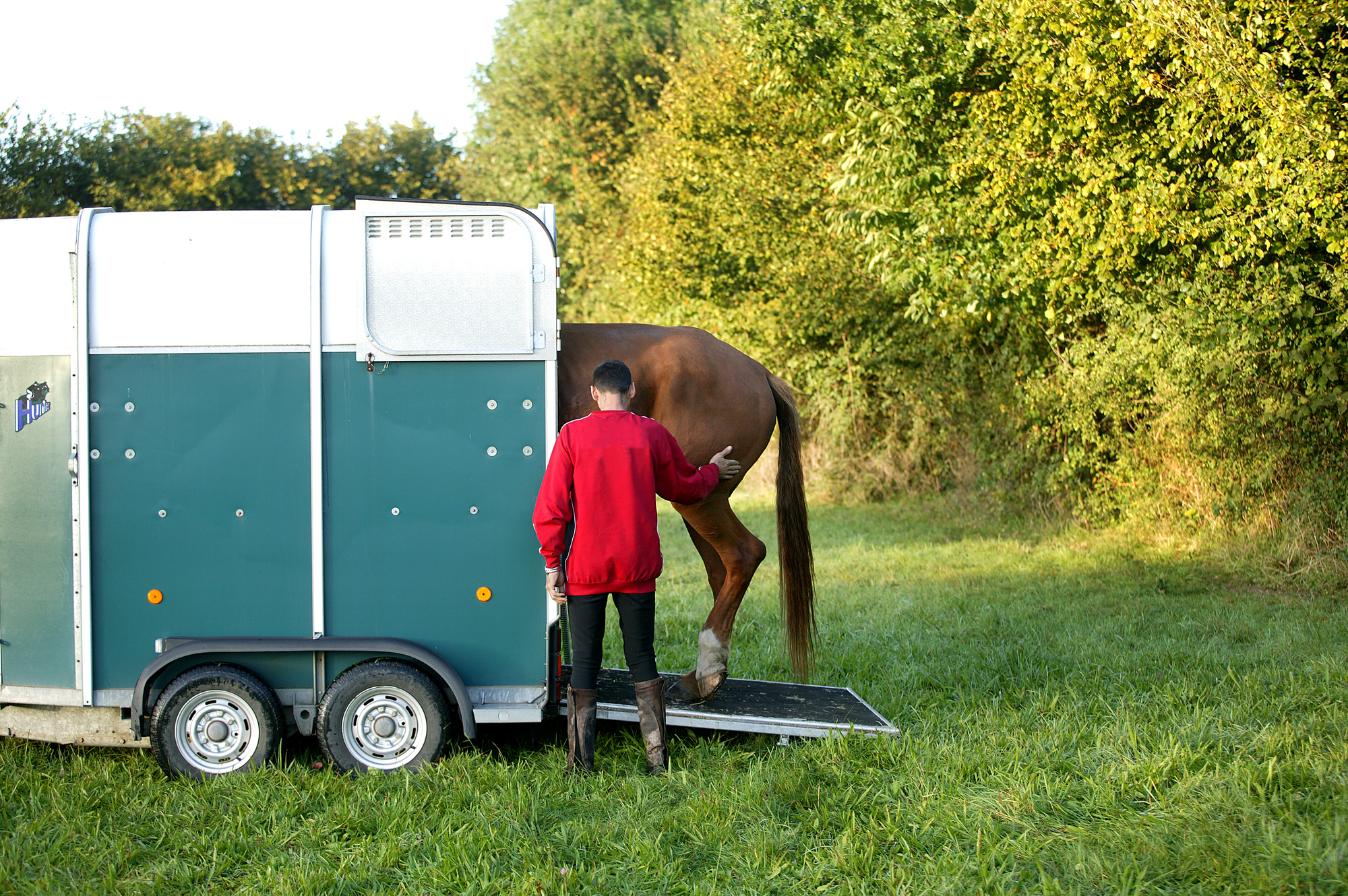 Man with his Selle Francais Horse entering into a Horse trailer 