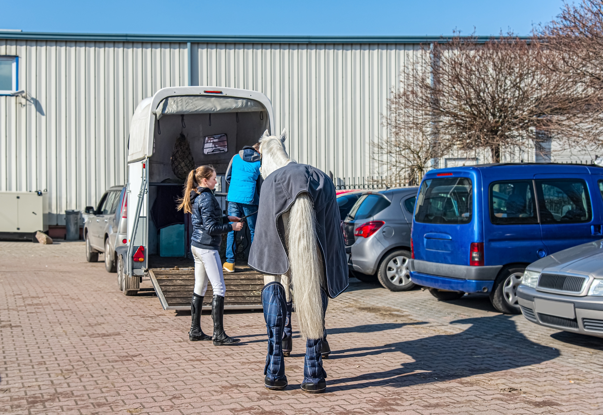  Horse vehicle . Carriage for horses . Auto trailer horse trailer.